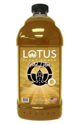 Gold Lotus