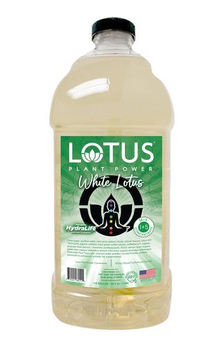 White Lotus